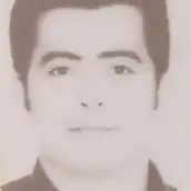 عکس حامد سلامی